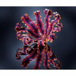 Meilleur prix 🛒 Czech Beads Exclusive FIMO Professional 85g De Bleu Marine, De L'Argile Tutoriel, Argile, Limon, Argile, De L'Artisanat, L 😉 -Pour Pâte Fimo Soldes unnamed file 638